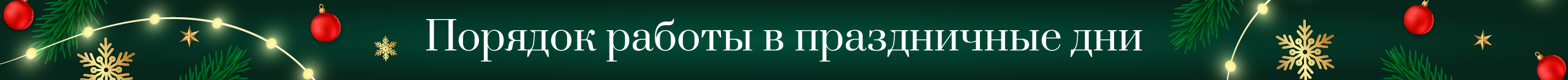 Порядок работы в праздничные дни 